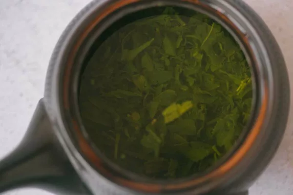 Hojas de té verde